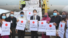 শিশুসহ ১০ বাংলাদেশিকে আটকের পর বিজিবির কাছে হস্তান্তর