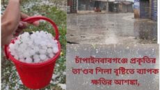 চাঁপাইনবাবগঞ্জে প্রকৃতির তা’ণ্ডব শিলা বৃষ্টিতে ব্যাপক ক্ষতির আশঙ্কা,