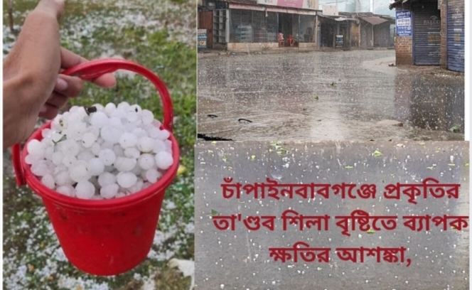 চাঁপাইনবাবগঞ্জে প্রকৃতির তা’ণ্ডব শিলা বৃষ্টিতে ব্যাপক ক্ষতির আশঙ্কা,