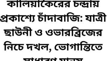 কালিয়াকৈরের চন্দ্রায় প্রকাশ্যে চাঁদাবাজি: যাত্রী ছাউনী ও ওভারব্রিজের নিচে দখল, ভোগান্তিতে সাধারণ মানুষ