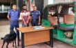 লালপুরে ট্রাকচাপায় মোটরসাইকেল চালকের মৃত্যু