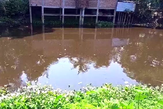 রাজৈরে কোরবানীর পশুর চামড়ার বর্জ্য ফেলার কারণে মারা গেল ১০ লাখ টাকার মাছ