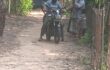 টেন্ডারবিহীন সরকারি কবরস্থানের গাছ বিক্রির সংবাদ প্রকাশ করার কারণে সম্পাদকের বাড়িঘর দখল করে নিল সন্ত্রাসীরা
