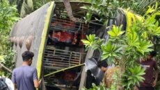 গোপালগঞ্জে আবারও মহাসড়কে রক্তাক্ত দুর্ঘটনা: গ্রীন লাইন বাস-অজ্ঞাত ট্রাকের মুখোমুখি সংঘর্ষে অন্তত ২৫ জন আহত।