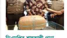 ডিএমপির শাহআলী থানা পুলিশের অভিযানে ৫ কেজি ৫০ গ্রাম গাঁজাসহ এক মাদক কারবারি গ্রেফতার