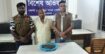 ঢাকা জেলা ডিবি দক্ষিণ পাঁচশত গ্রাম গাঁজা সহ এক জন গ্রেফতার 