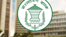 ৫ হাজার উদ্যোক্তা পাবেন সর্বোচ্চ ২০ লাখ টাকা, আবেদন করবেন যেভাবে