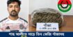শাহ্ আলীতে সাড়ে তিন কেজি গাঁজাসহ মৎস্যজীবী দলের নেতা গ্রেফতার